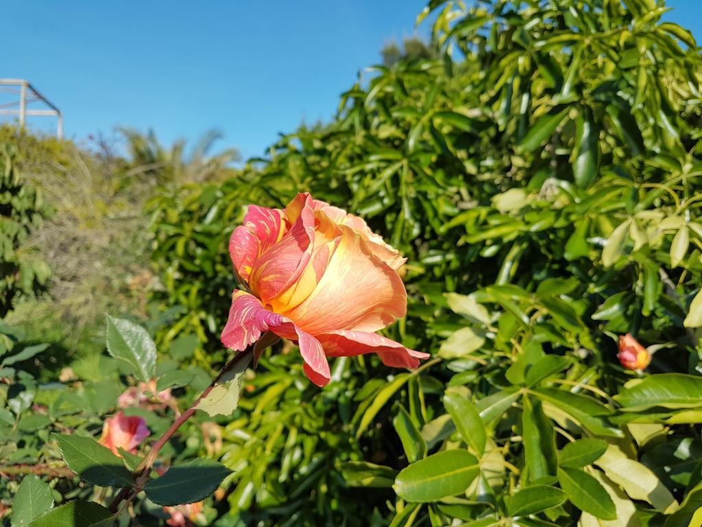 Villa Casas Tipicas Algarvias Arroteia de Baixo Esterno foto