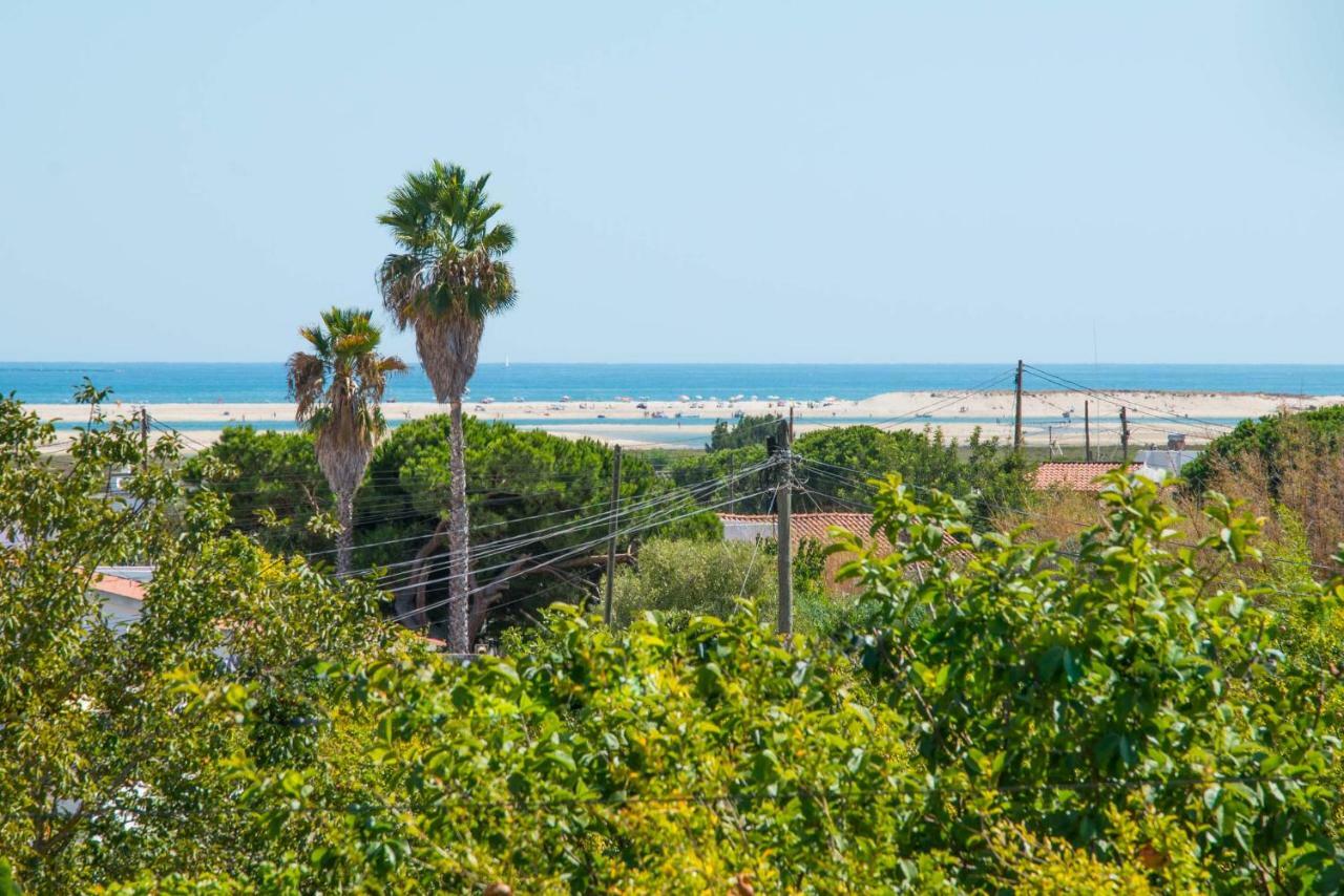 Villa Casas Tipicas Algarvias Arroteia de Baixo Esterno foto